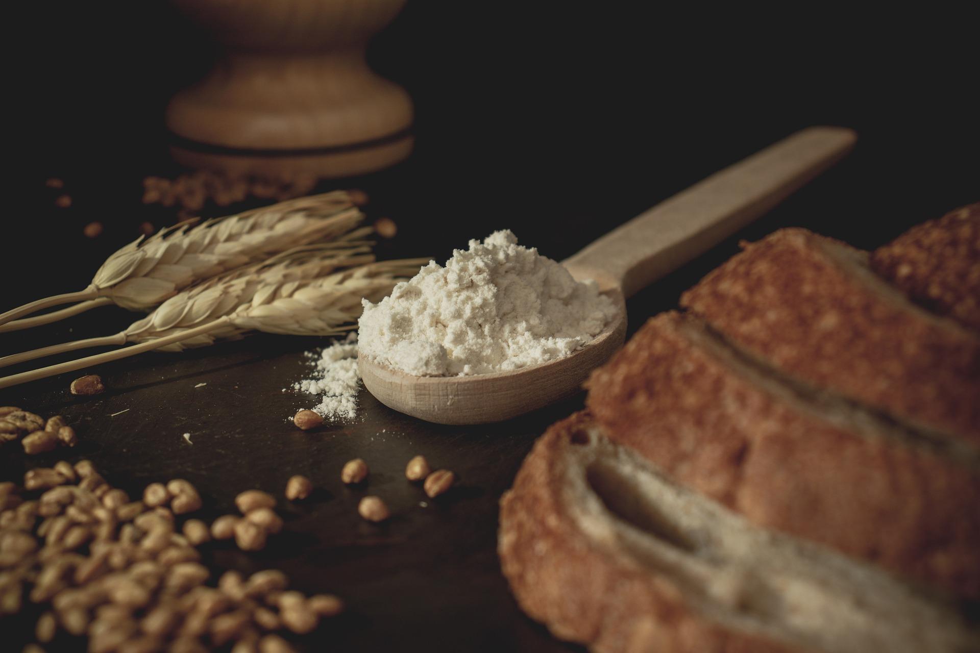 Photo of wheat, flour, and bread